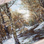 Seturi de Brodat Goblen Luca-S - Prima zăpadă, G597