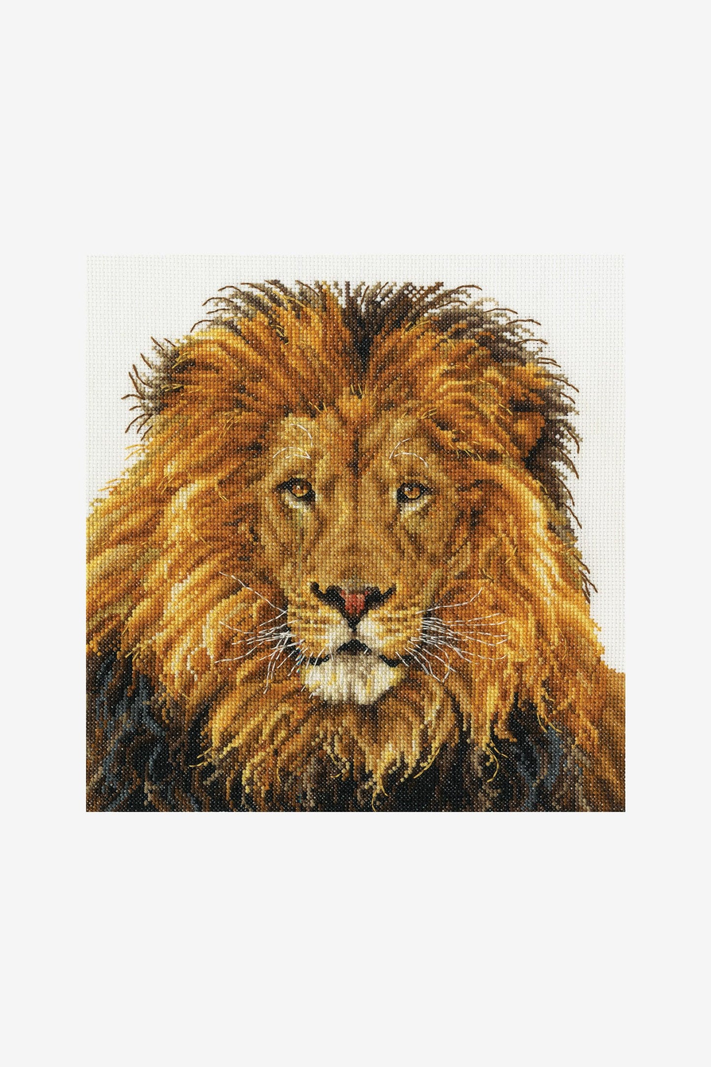 DMC Cross Stitch Kit - The Lion’s Pride, BK1668 Cross Stitch Kits - HobbyJobby