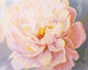 Set de pictură cu diamante înrămat LetiStitch - Floral Grace, 481-050