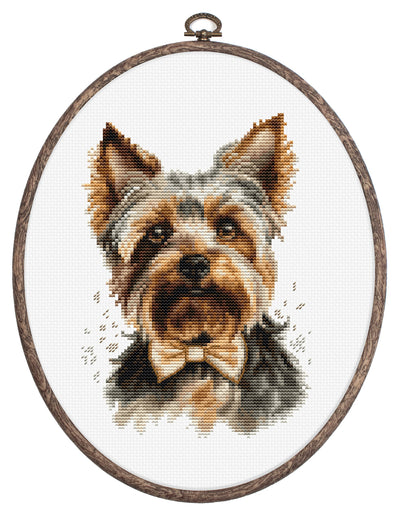 Set de brodat în cruciuliță cu cercul de brodat inclus  - The Yorkshire Terrier, BC228