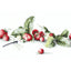Cross Stitch Kit Luca-S - Etude with Strawberries - HobbyJobby
