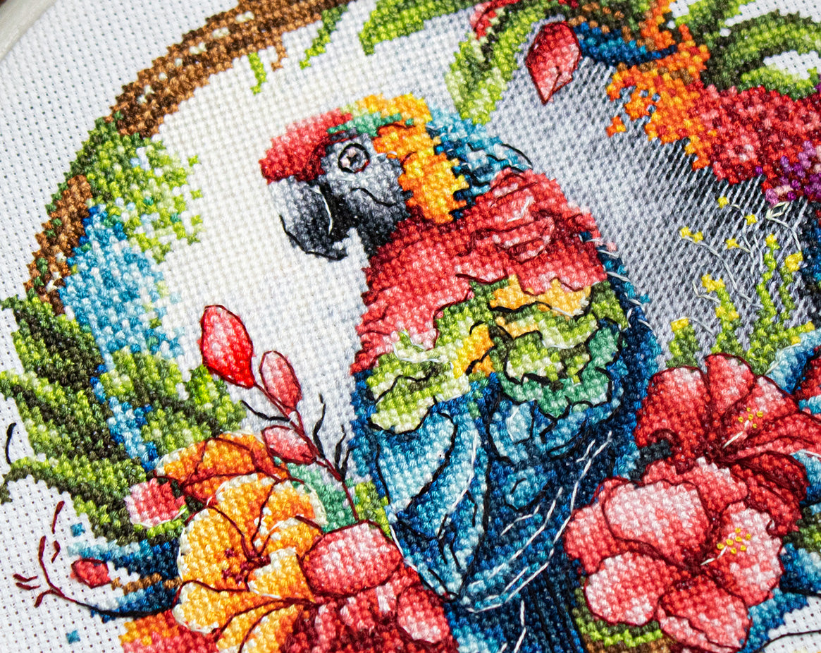 Set de brodat în cruciuliță cu cercul de brodat inclus - BC201 Papagalul Tropical