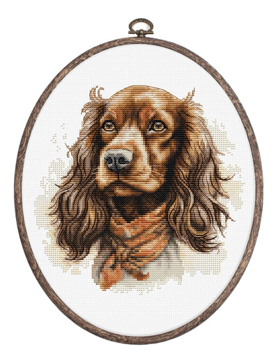 Set de brodat în cruciuliță cu cercul de brodat inclus - Cocker Spaniel