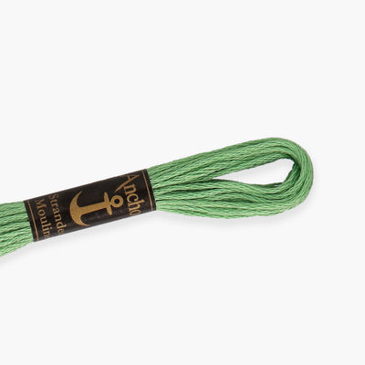 Anchor Stranded Cotton Color 242 Stranded Cotton - HobbyJobby