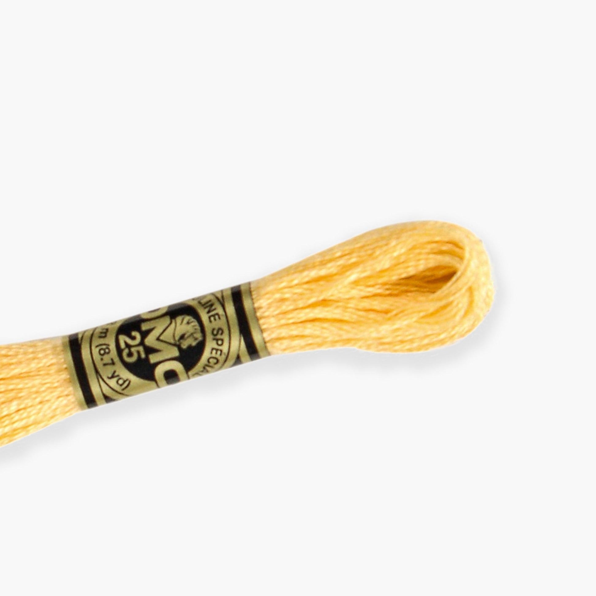 DMC Stranded Cotton - DMC color 19 Stranded Cotton - HobbyJobby