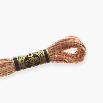 DMC Stranded Cotton - DMC color 407 Stranded Cotton - HobbyJobby