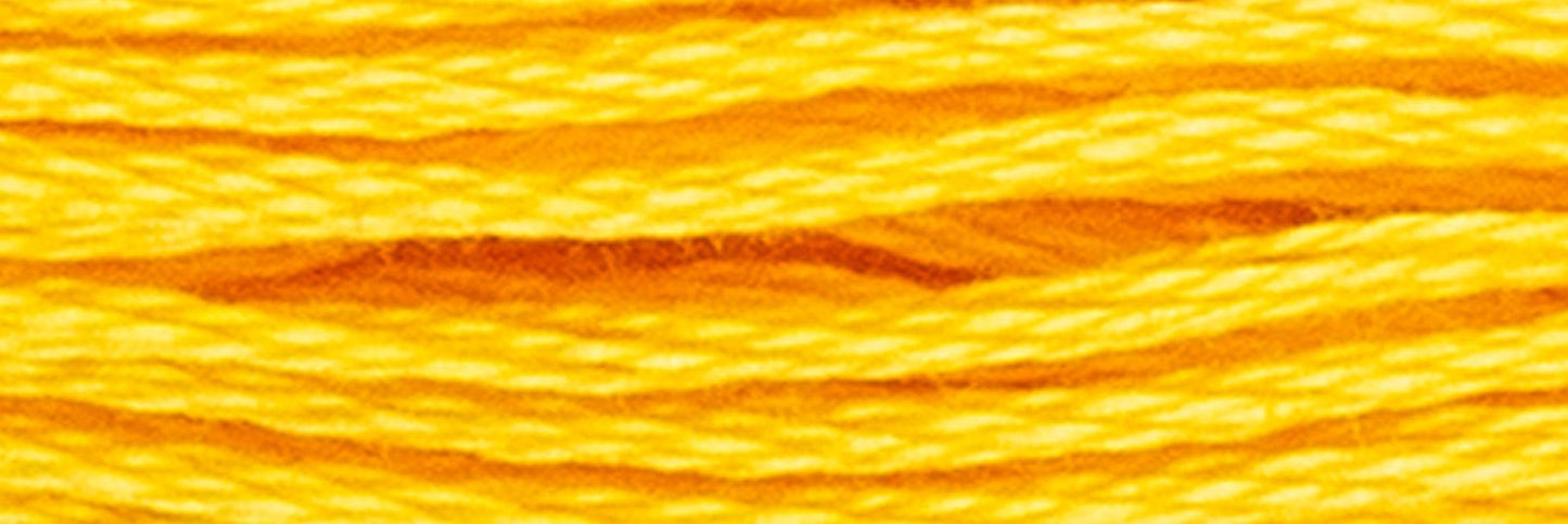 Stranded Cotton Luca-S - 367 / DMC 725 / Anchor 306 Stranded Cotton - HobbyJobby